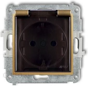 i-karlik-elektrotechnik-mini-mechanizm-gniazda-bryzgoszczelnego-z-uziemieniem-schuko-2p-z-zloty-29mgpb1sdp