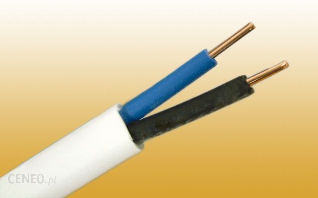 i-przewod-ydyp-2x1-5-450-750v-plaski-100mb
